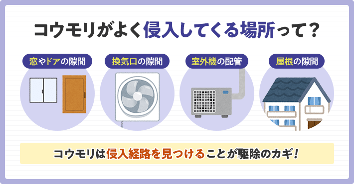 家の中にコウモリが コウモリの侵入経路と侵入時の対処法 みんなのコウモリ駆除屋さん