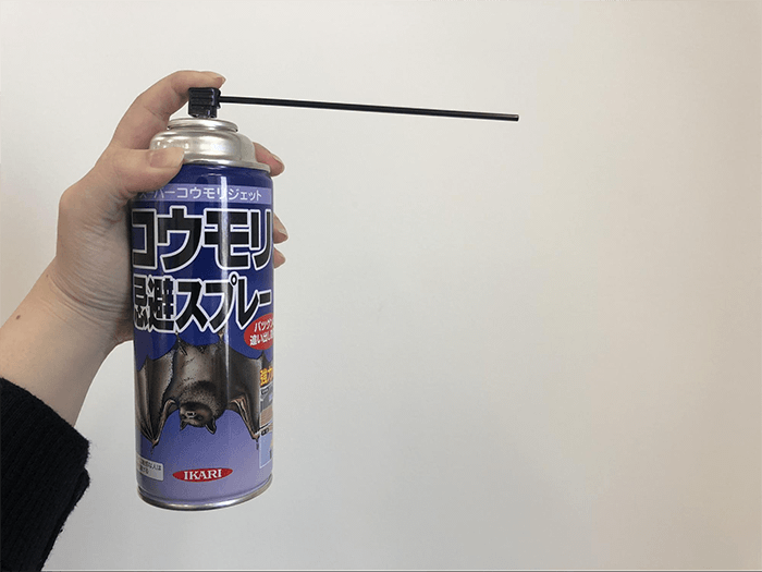 コウモリ対策