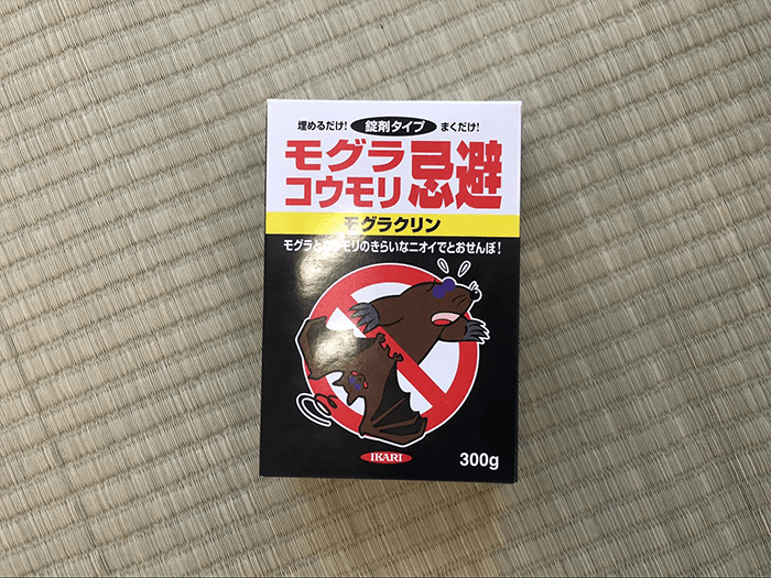 コウモリ対策