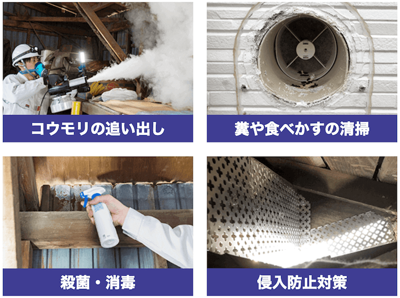 追い出し、清掃、消毒、侵入防止対策