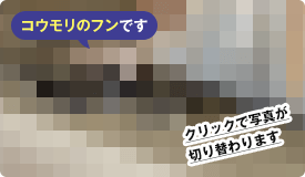 コウモリのフンです。