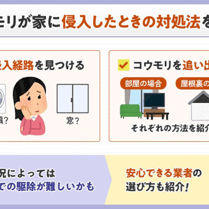 家の中にコウモリが コウモリの侵入経路と侵入時の対処法 みんなのコウモリ駆除屋さん