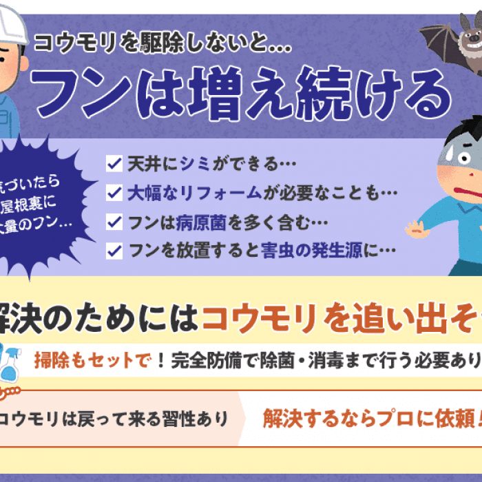 もう悩まない コウモリのフン害を確実に解決する方法 みんなのコウモリ駆除屋さん