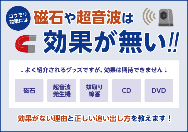 Q コウモリに磁石は効くのでしょうか みんなのコウモリ駆除屋さん