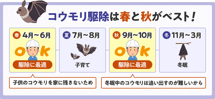 必見 プロが教えるコウモリの正しい駆除方法 みんなのコウモリ駆除屋さん